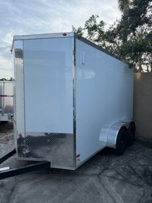 6’x12′ ALL WORLD Enclosed Barn Door