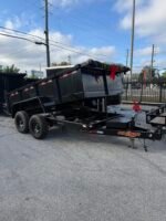 D2E 6x12x2 Dual piston and combo gate w/ ramps